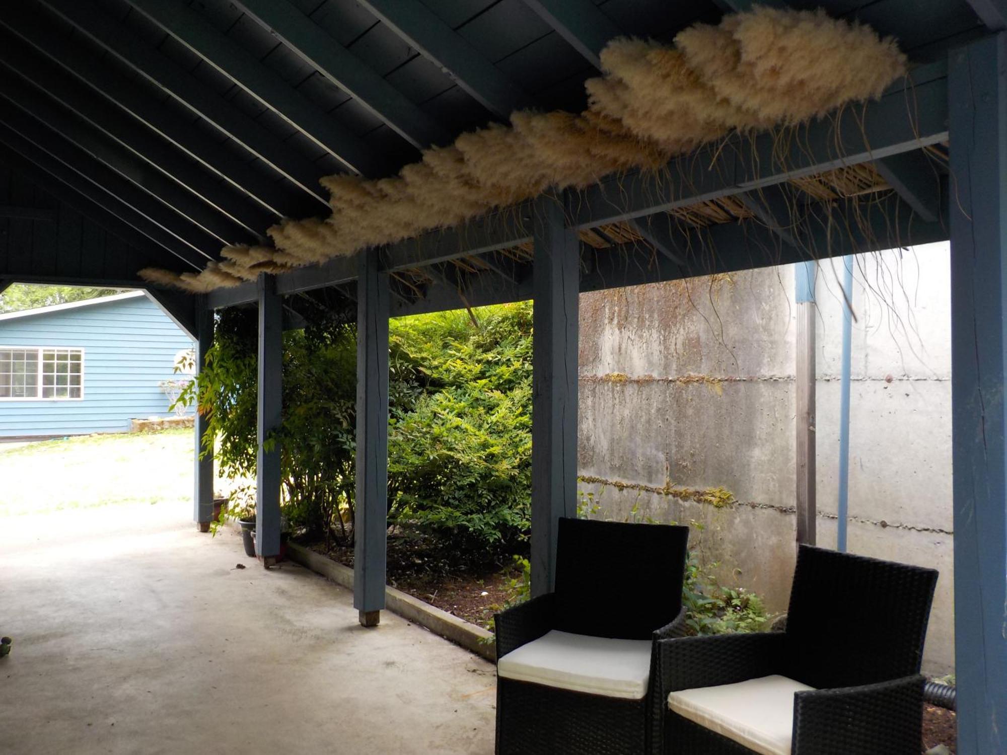 Oceanfront Studio/Loft: Alpacas, Oysters & Kayaks Шелтон Экстерьер фото
